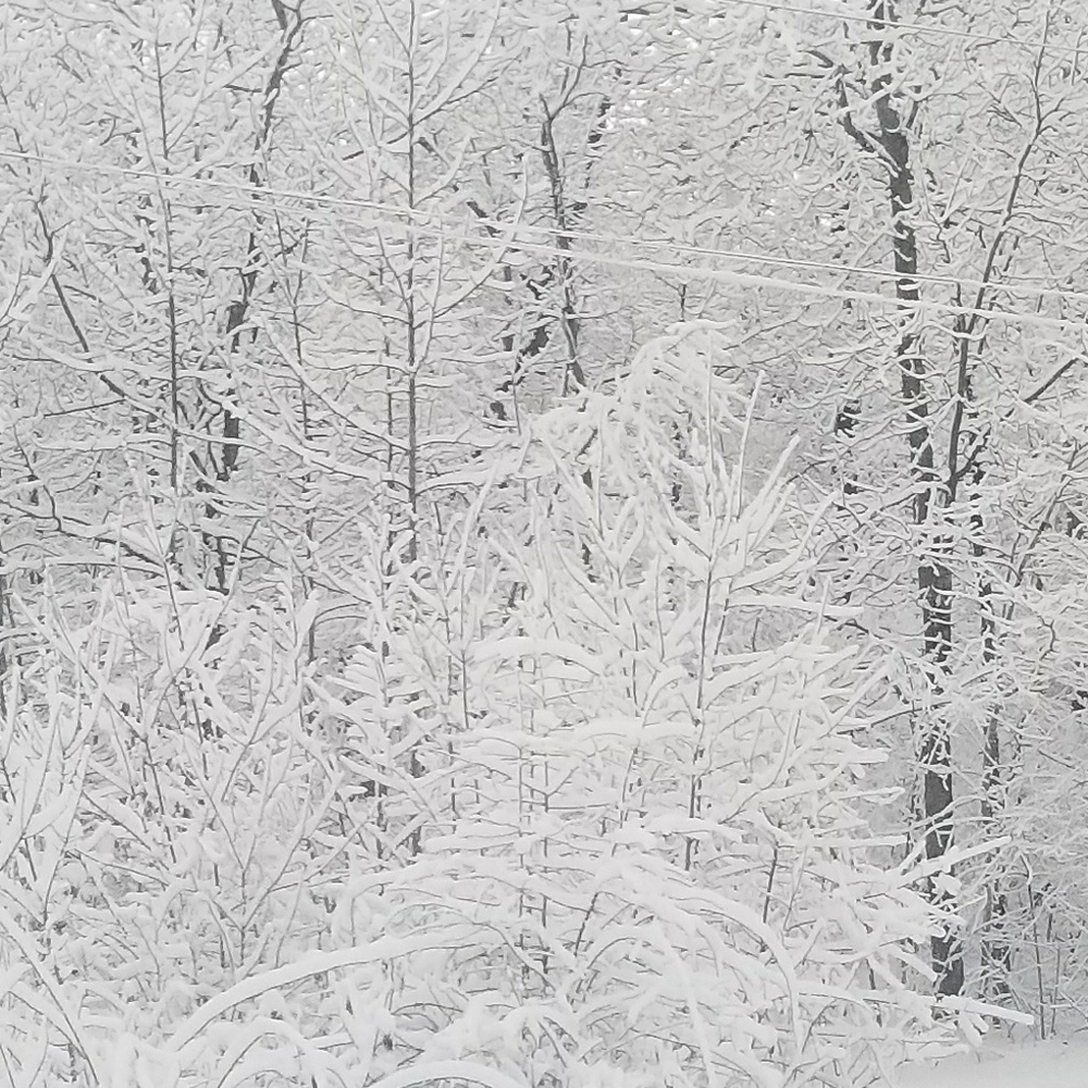 Meet your Posher, Kathleen